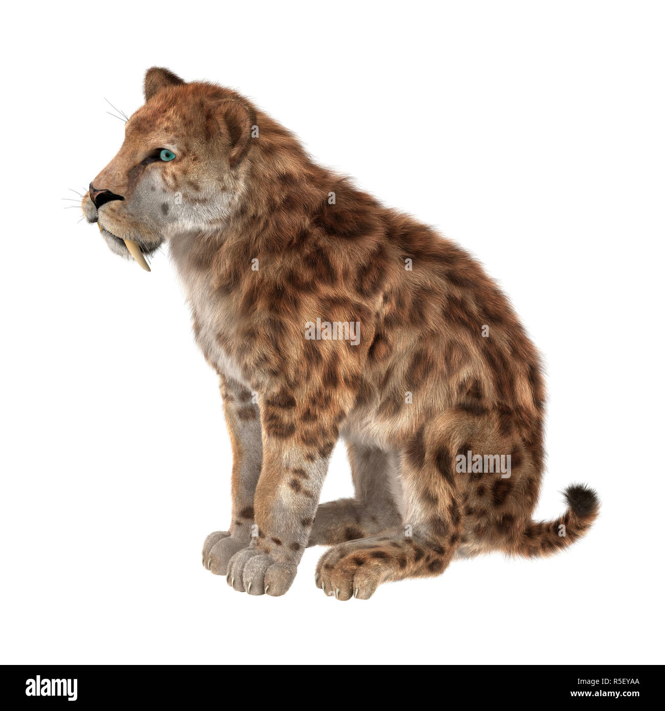 3D Rendering Saber Tooth Tiger on White Stock Photo - Alamy