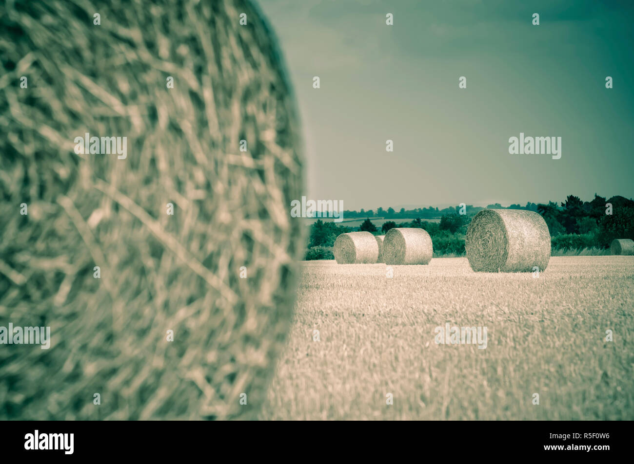 UK, England, Oxfordshire, nr Holt, straw bales Stock Photo Alamy