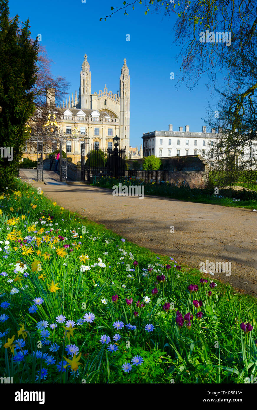 UK, England, Cambridge, King's College from Clare College in the Spring Stock Photo