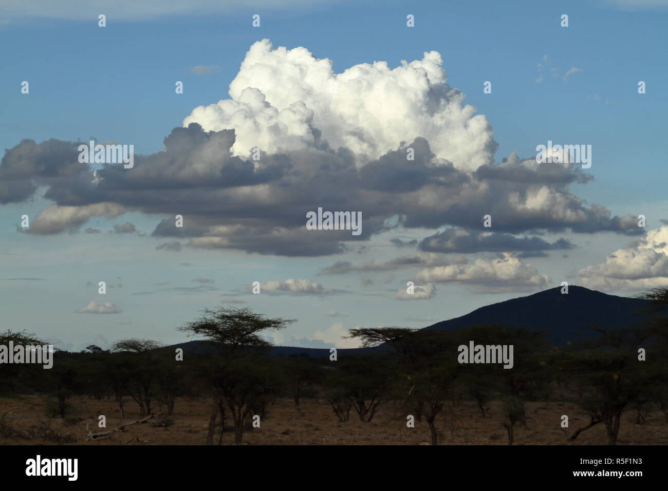 rain and thunderclouds in the sky Stock Photo