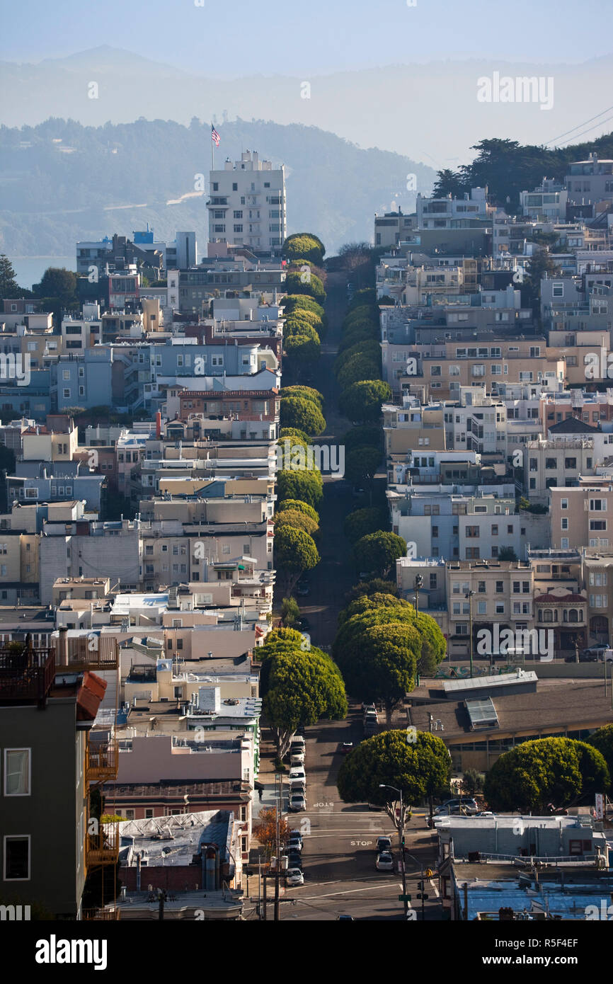 USA, California, San Francisco, Russian Hill, elevated view of North