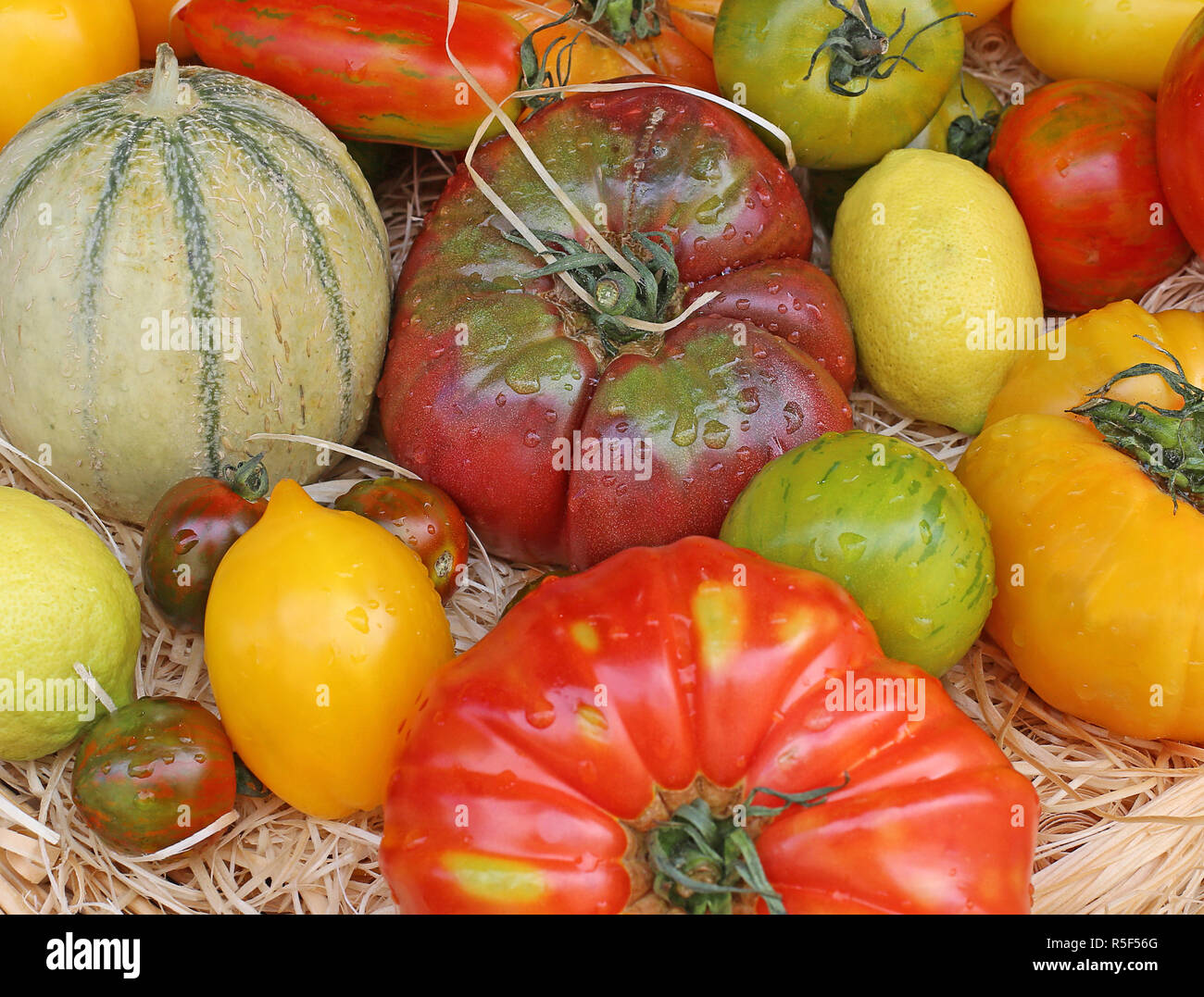 Tomatenkiste hires stock photography and images Alamy