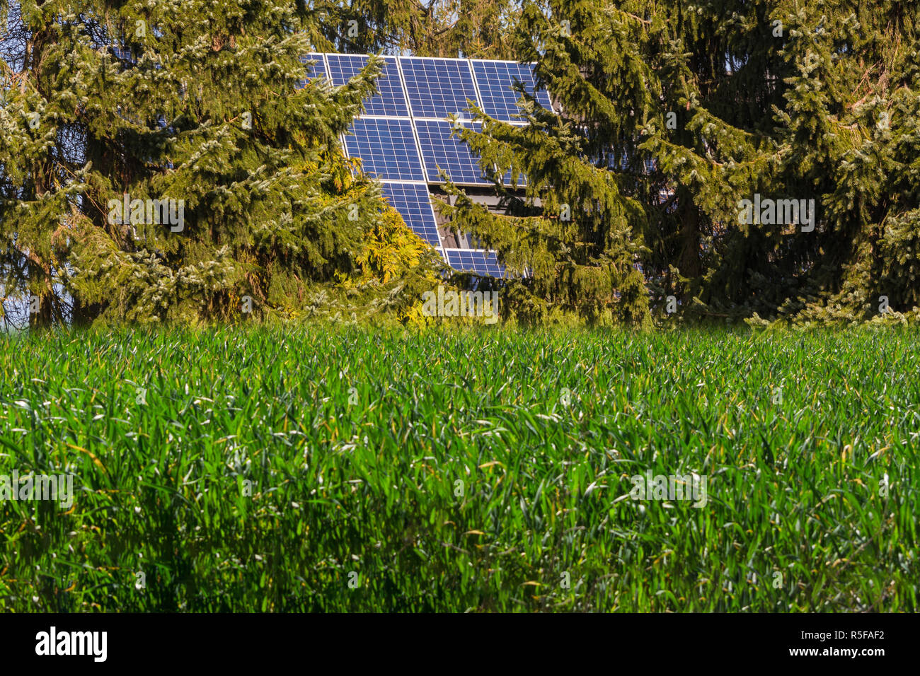solar collectors on the roof Stock Photo - Alamy