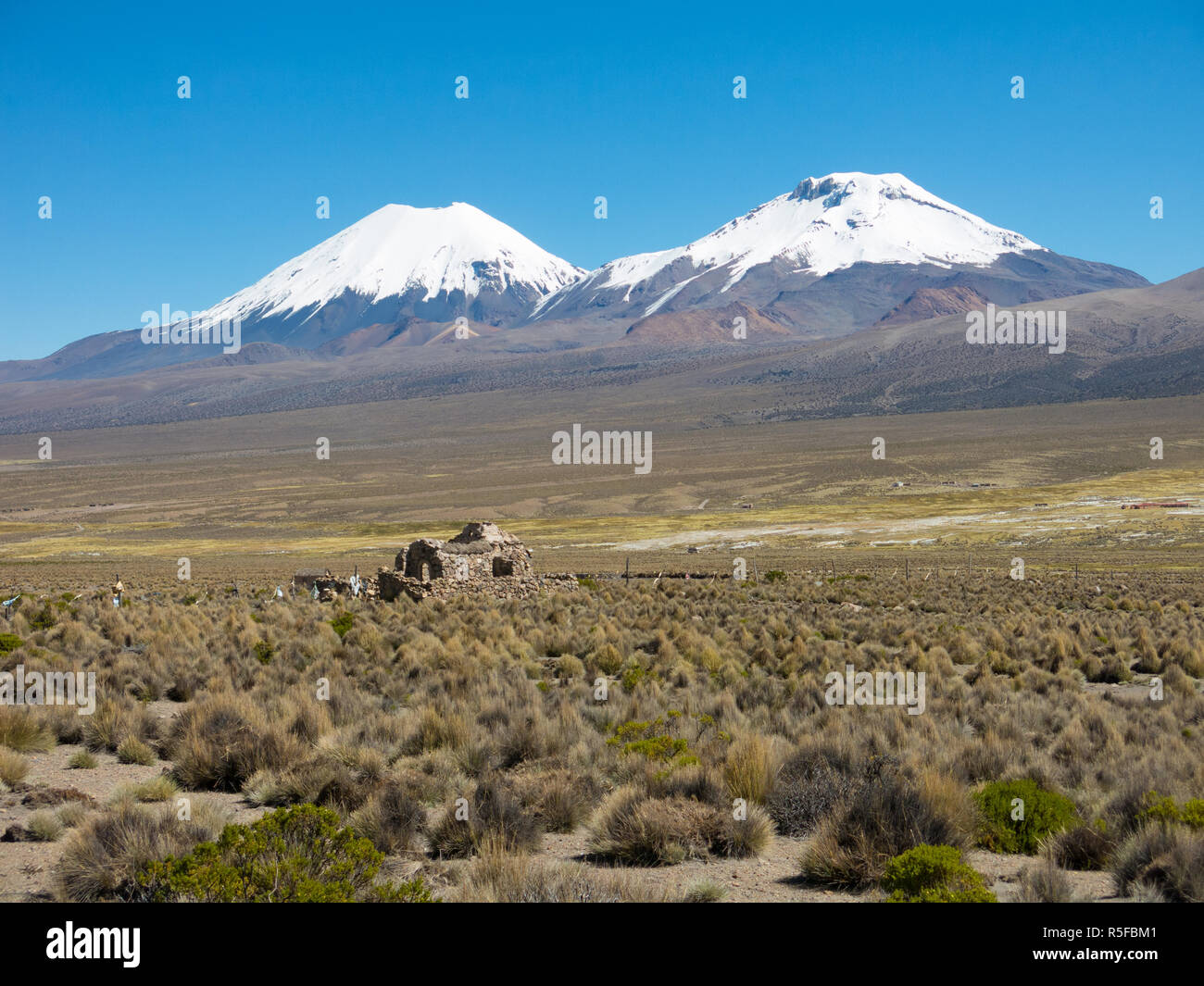 High Andean tundra landscape in the mountains of the Andes. The weather Andean Highlands Puna grassland ecoregion, of the montane grasslands and shrub Stock Photo