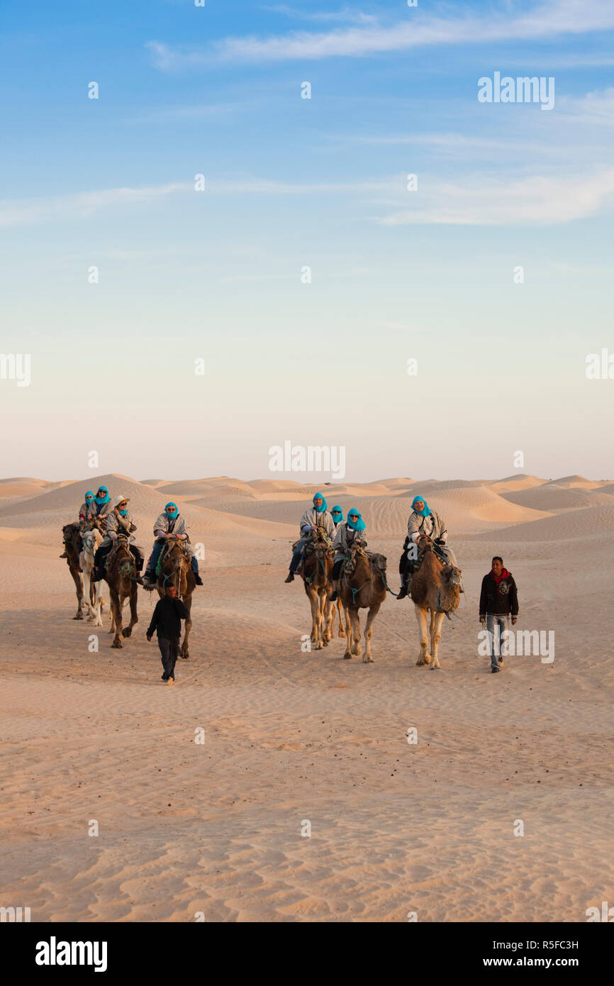 Tunisia, Sahara Desert, Douz, Great Dune, camel caravan, NR Stock Photo