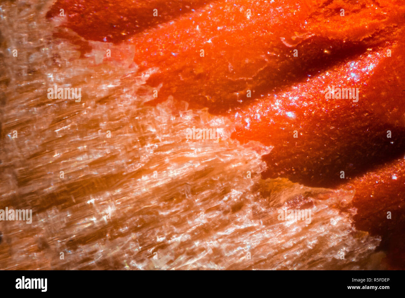 Orange pencil tip under the microscope Stock Photo - Alamy