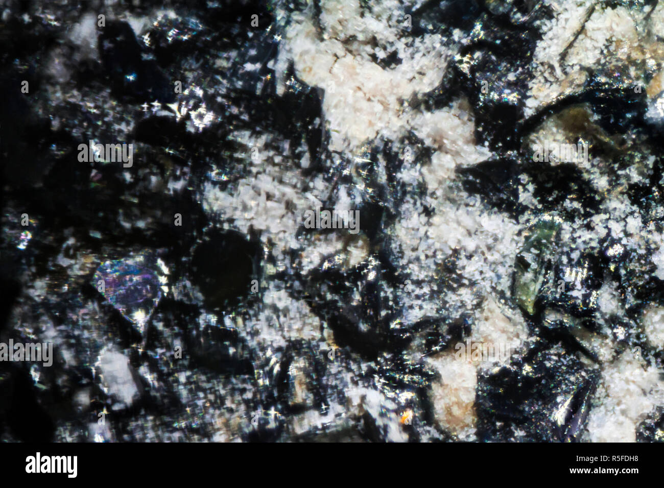File:Glitter nail polish under the microscope, magnification x100.jpg -  Wikipedia
