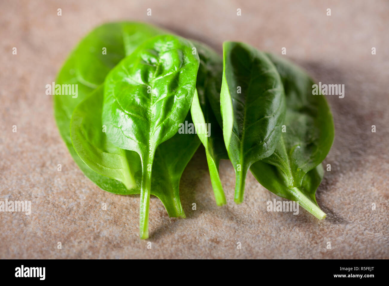 A bunch of Baby spinach Stock Photo - Alamy