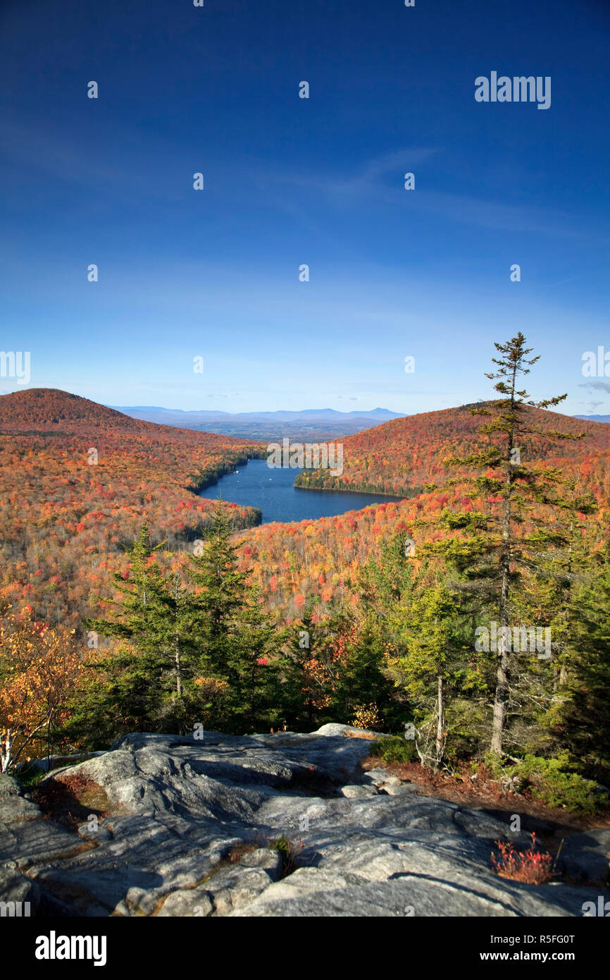 USA, New England, Vermont, Groton State Forest, Fall Foliage, Owl's