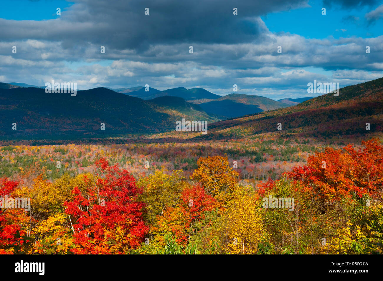 White mountains national forest hires stock photography and images Alamy