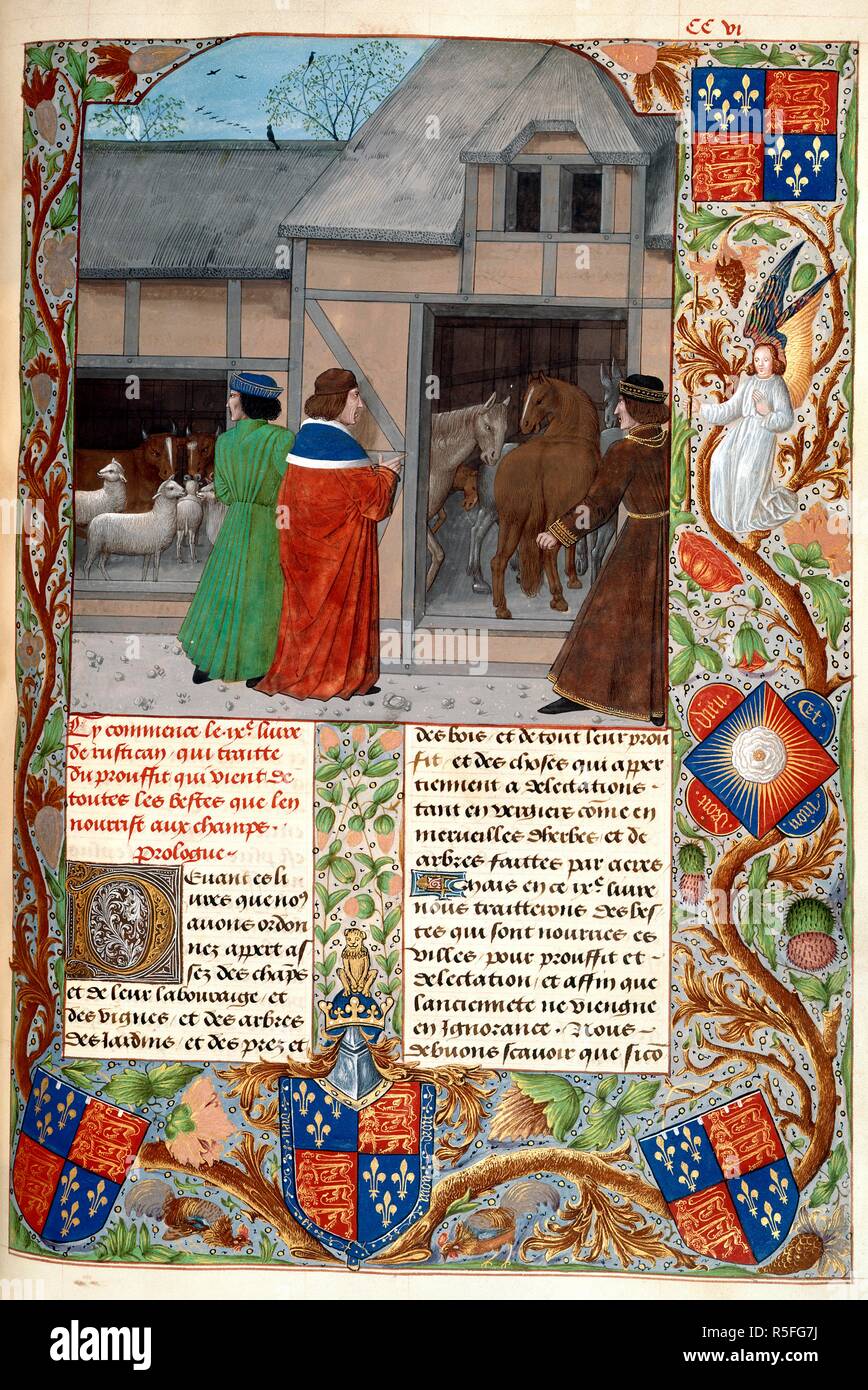 Author with horses and sheep. Rustican, du cultivement des terres / Commoda Rura. S. Netherlands [Bruges]; 1473-1483?. [Whole folio] The author discourses with two rustics, before a stable with horses, and shed with cattle and sheep. Text with decorated initial 'D'. Borders of foliate decoration, with the arms of the patron, King Edward IV, heraldic banners, and the white rose, the Yorkist badge  Image taken from Rustican, du cultivement des terres / Commoda Ruralia.  Originally published/produced in S. Netherlands [Bruges]; 1473-1483?. . Source: Royal 14 E. VI, f.215. Language: French. Stock Photo