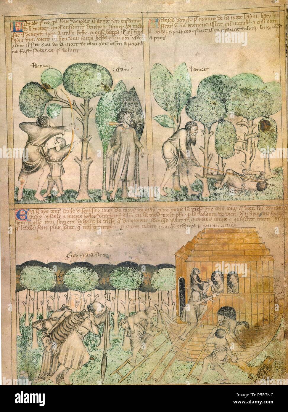 Death of Cain; entering the ark. Egerton Genesis Picture Book. England; circa 1360. [Whole folio] Three scenes. Lamech kills Cain with bow and arrow. Death of the boy Jabal. Below, Noah and family enter the ark. The wives of Noah's sons are in the ark; Shem, Ham, and Japhet, carring animals, are on ladders about to enter. Behind, Noah, carrying a ram and leaning on a staff, and Puarphara, his wife, with a small bull, approach the ark.  Image taken from Egerton Genesis Picture Book.  Originally published/produced in England; circa 1360. . Source: Egerton 1894, f.3. Language: French. Stock Photo