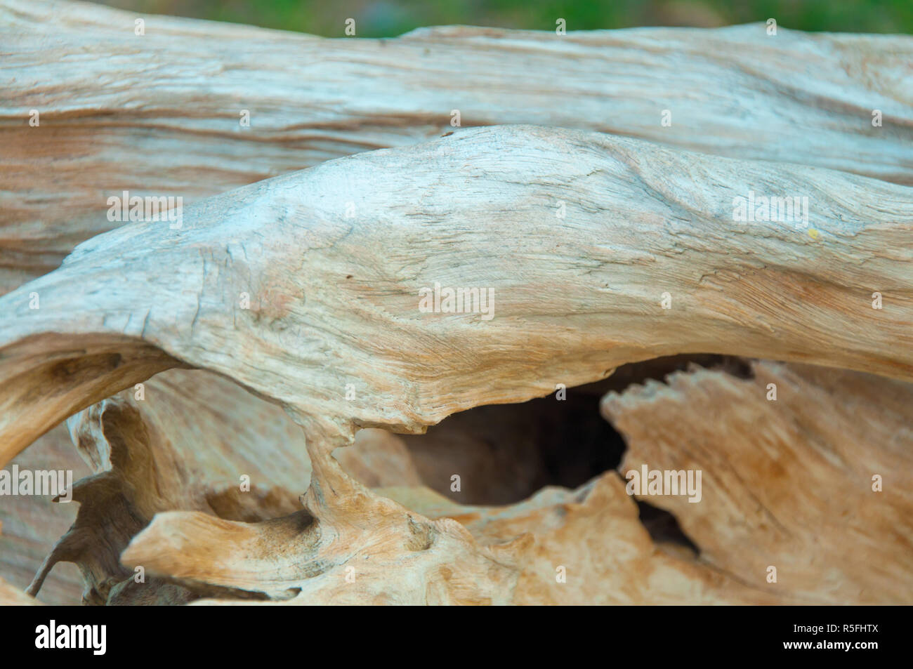 Surface pattern of nature Wood Stock Photo - Alamy