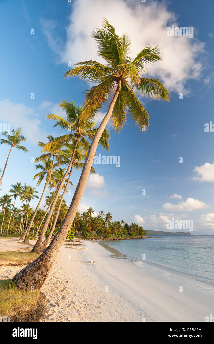 palm beach on the peninsula samanÃ¡,dominican republic Stock Photo
