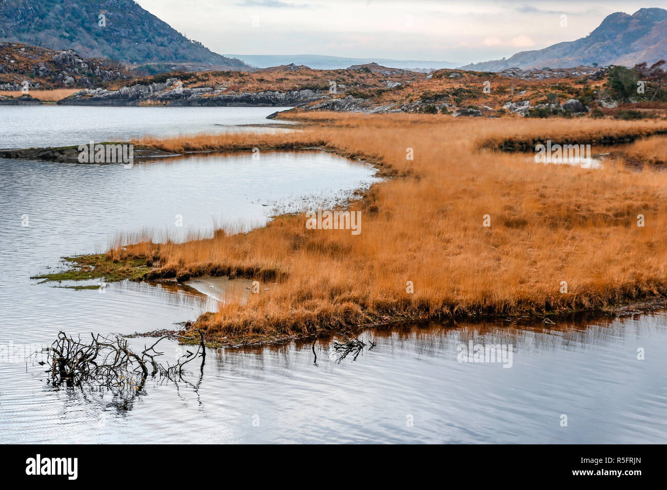 Winter Scene Ladies View Killarney National Park County Kerry