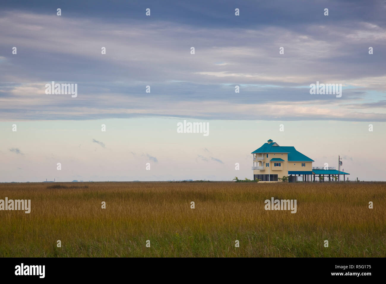 Bayou cocodrie hires stock photography and images Alamy