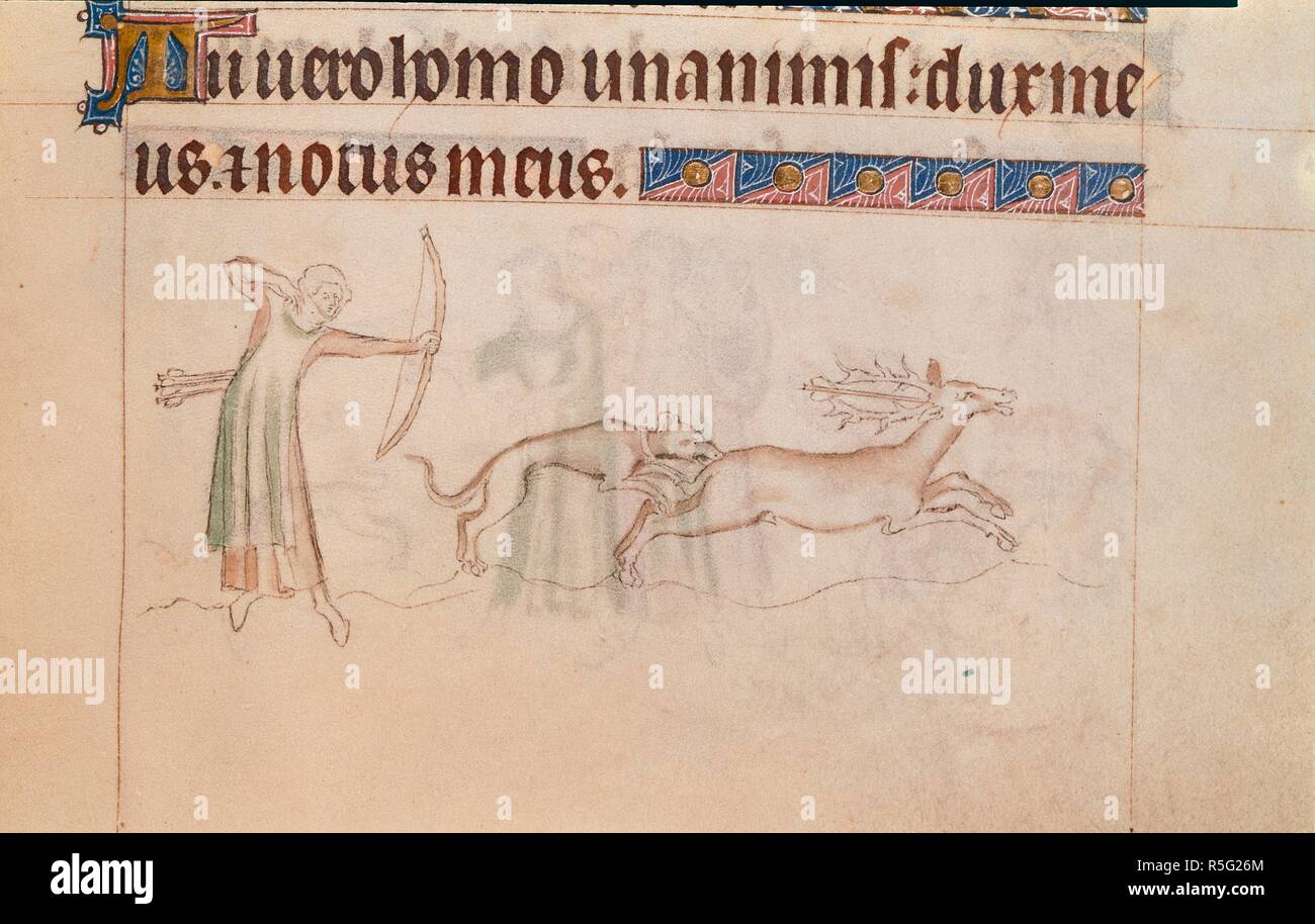 Lady shooting stag. Queen Mary Psalter. England (London?); circa 1310-1320. (Miniature only) Bas-de-page scene showing a lady with bow and arrows shooting at a stag, which has an arrow in the back of its head and has been caught by a dog.  Image taken from Queen Mary Psalter.  Originally published/produced in England (London?); circa 1310-1320. . Source: Royal 2 B. VII, f.153. Language: Latin. Stock Photo