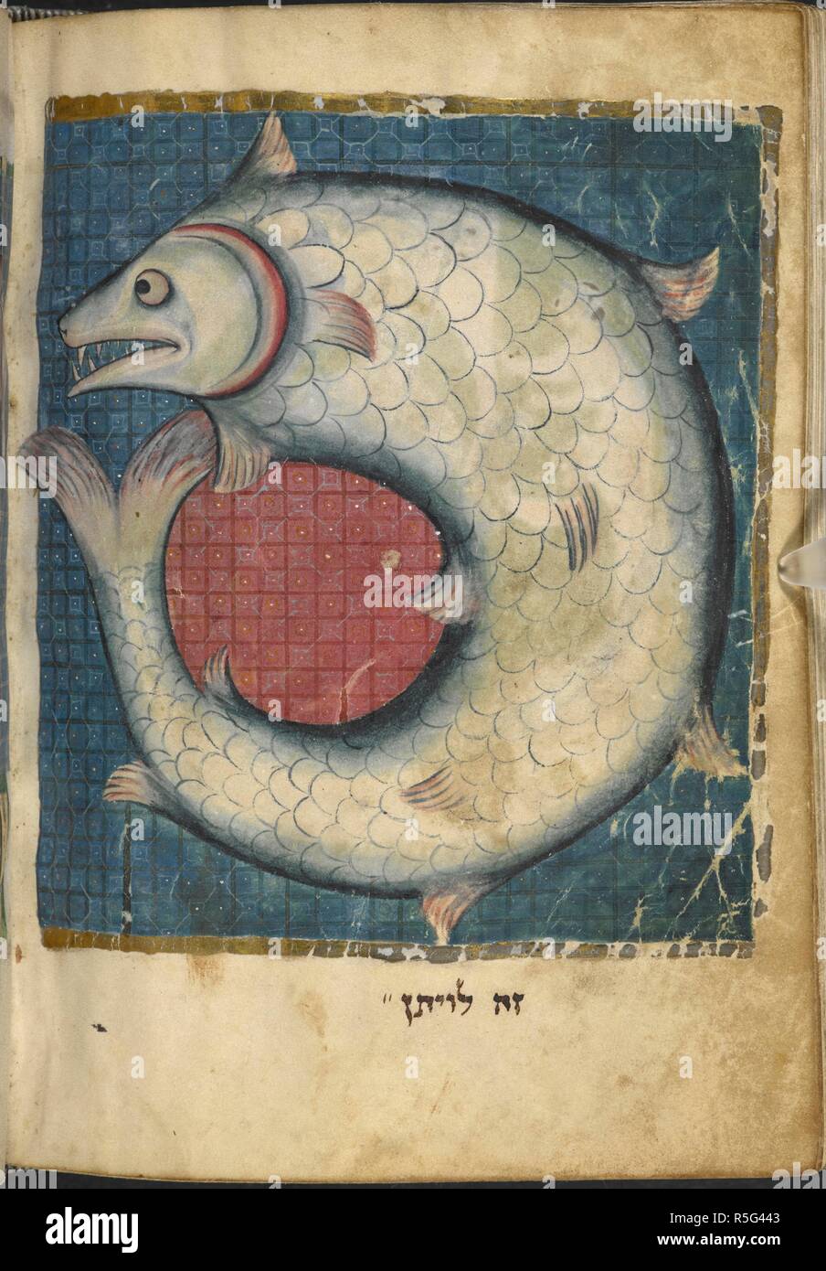 Leviathan Sea Monster High Resolution Stock Photography and Images Alamy