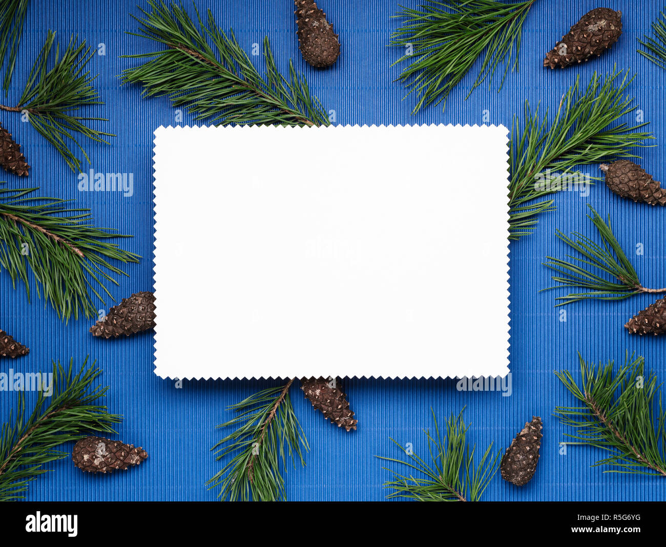 White Christmas card on the blue background of fir branches and fir cones. Empty note Stock Photo