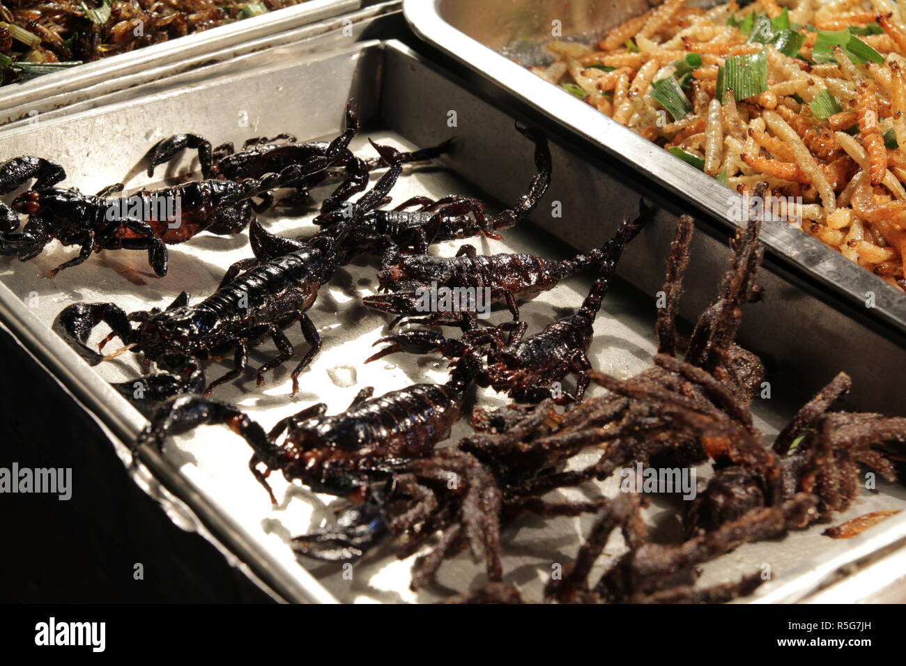 Roasted black scorpions, spiders and other insects at a street vendor in Khao San road, Bangkok, Thailand Stock Photo