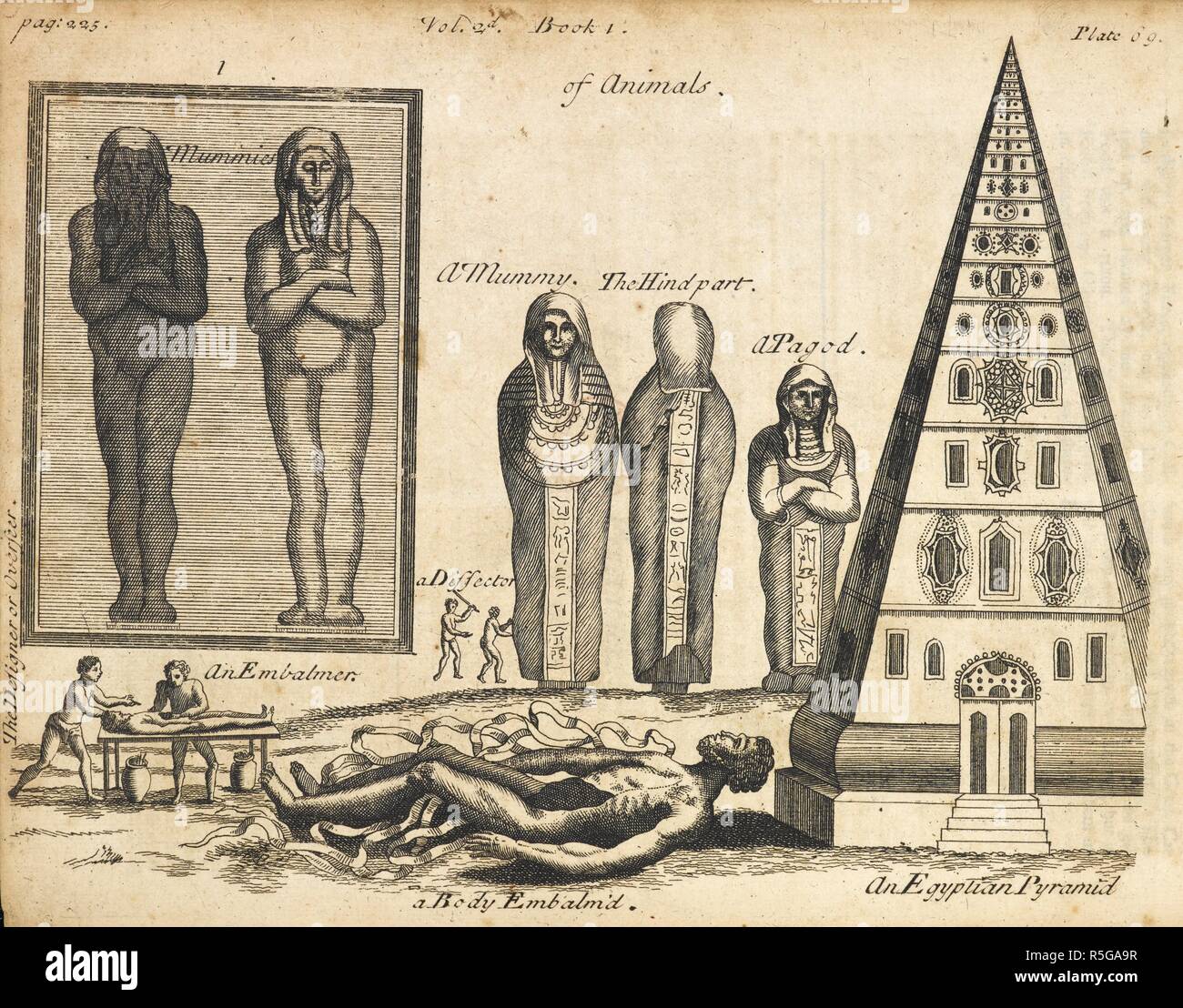 An illustration of mummies, an embalmed body and an Egyptian pyramid. A Compleat History of Druggs ... The second edition. London, 1737. Source: 7509.e.19, plate 69. Language: English. Author: Pomet, Pierre. Stock Photo