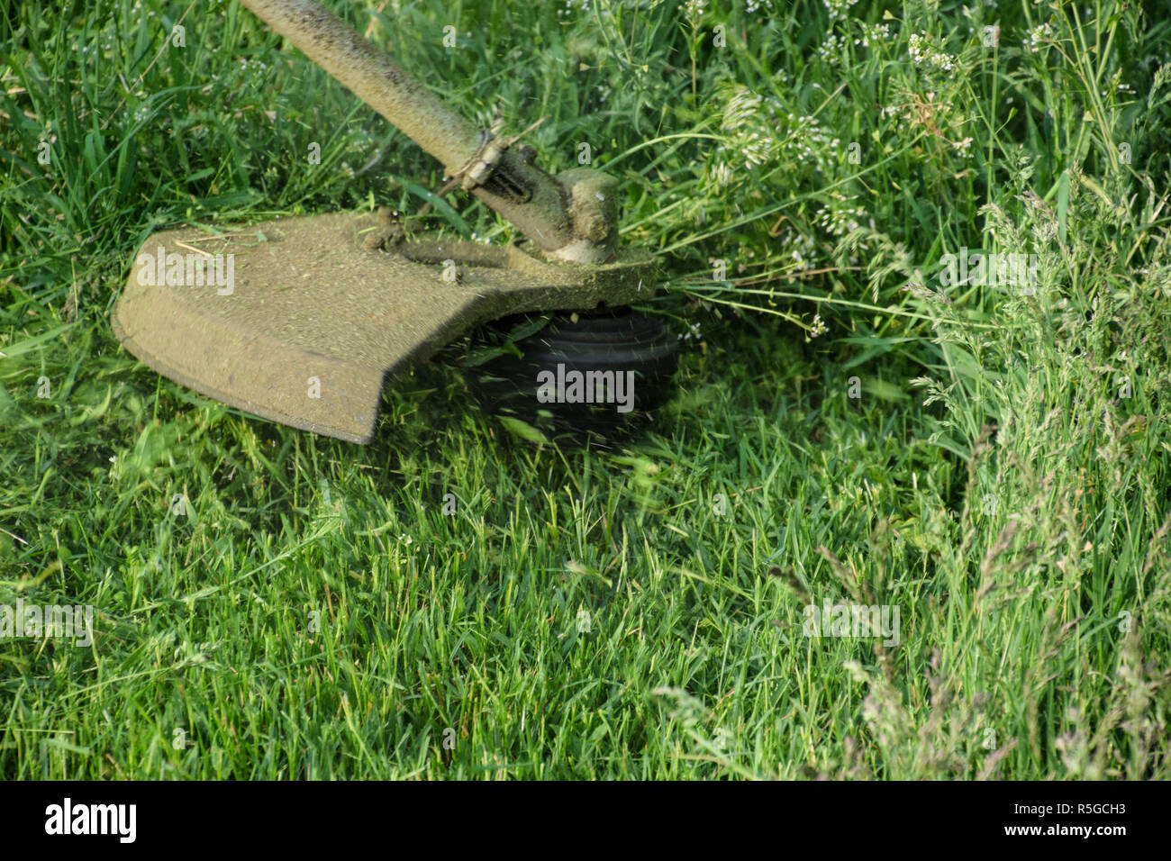 Application trimmers. Mowing green grass using a fishing line trimmer