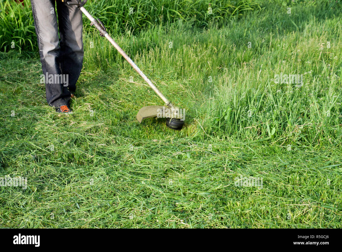 Application trimmers. Mowing green grass using a fishing line trimmer