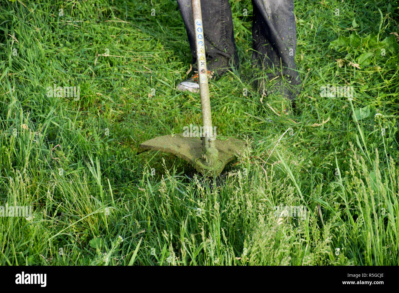 Application trimmers. Mowing green grass using a fishing line trimmer