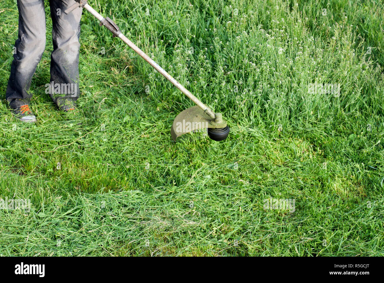 Application trimmers. Mowing green grass using a fishing line trimmer
