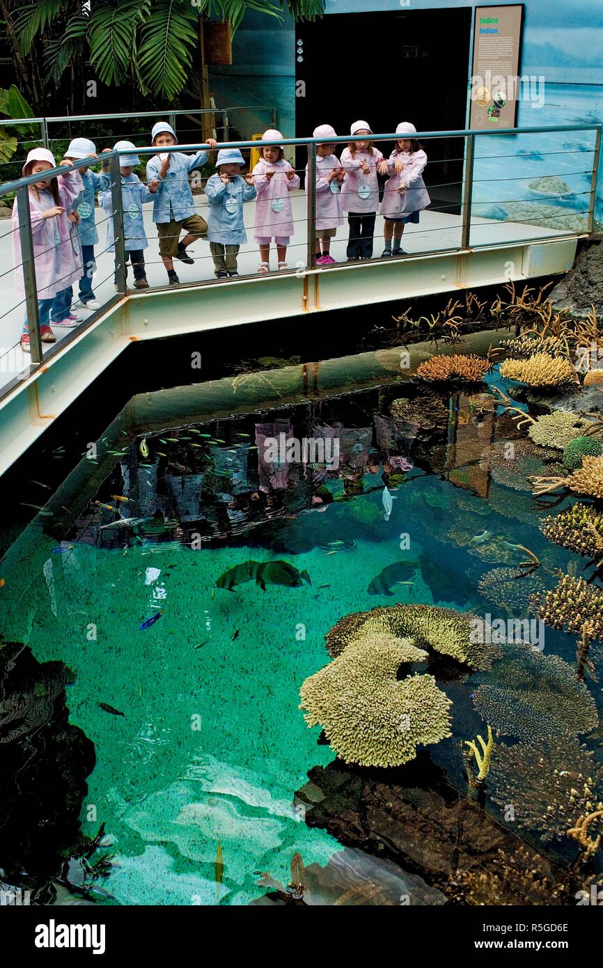 biograf I første omgang Nemlig schools visit daily the Oceanarium of Lisbon, the largest aquarium in  Europe.Lisbon, Portugal Stock Photo - Alamy