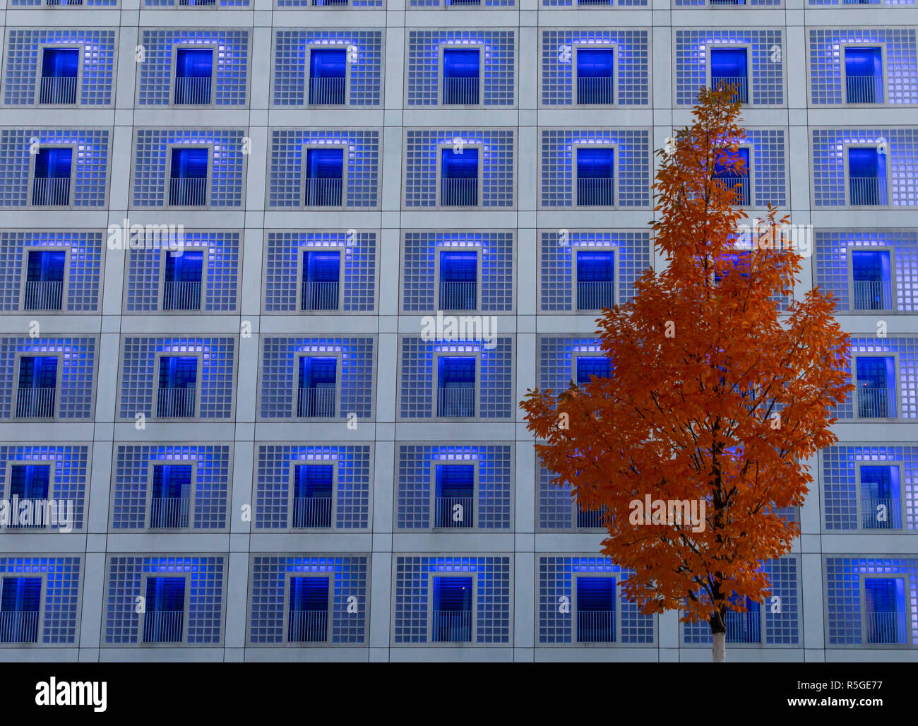 Die neue Stadtbibliothek in Stuttgart, im Europaviertel, moderne Fassade, Baum mit rštlichen BlŠttern im Herbst, beleuchtete Fenster, Glasbausteine, Stock Photo