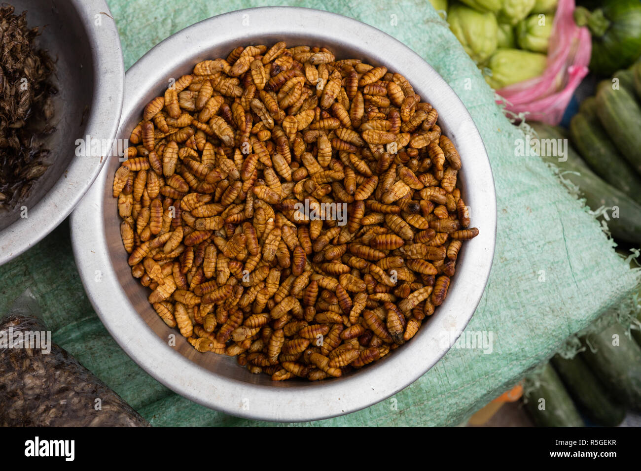 Loas Insects insects on display in Da makai market, Laos Stock Photo - Alamy