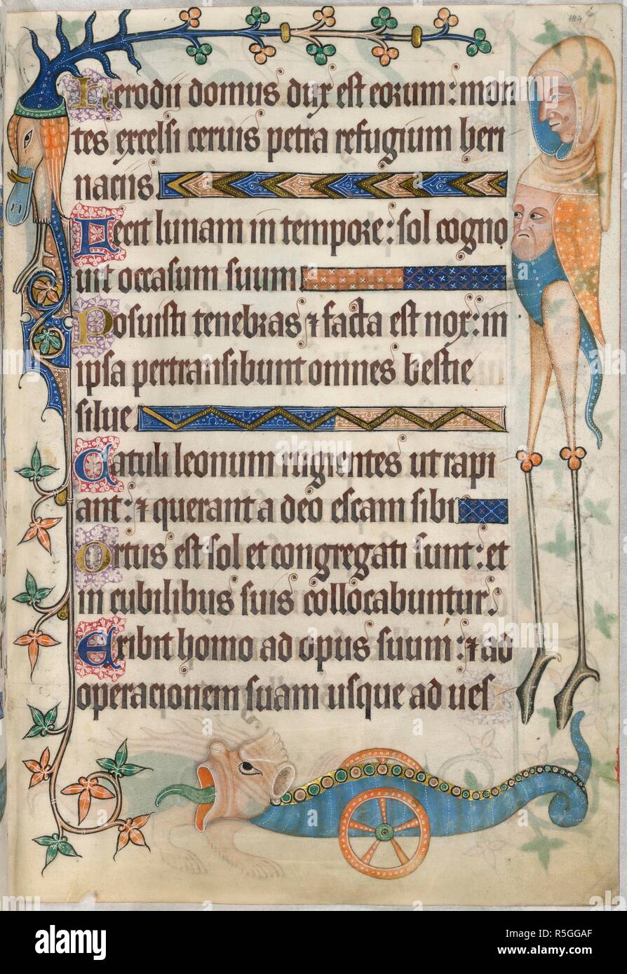 Psalm 103; grotesques. Luttrell Psalter. England [East Anglia]; circa 1325-1335. [Whole folio] Psalm 103. Marginal decoration with three grotesques; at the top, a grotesque with bird's bill and tusks. Right, a monster with two human heads and long legs. Lower margin; a wingless and legless dragon running on two vermillion wheels.  Image taken from Luttrell Psalter.  Originally published/produced in England [East Anglia]; circa 1325-1335. . Source: Add. 42130, f.184. Language: Latin. Stock Photo