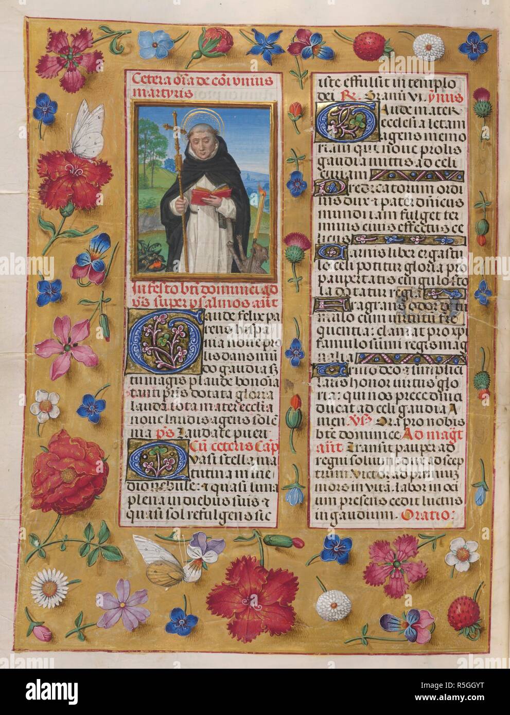 Sanctorale. St Dominic. Floral border. Text and initials. . Isabella Breviary. Breviary, Use of the Dominicans ('The Breviary of Queen Isabella of Castile'). c1497. Source: Add. 18851 f.423v. Author: Master of James IV of Scotland. Stock Photo