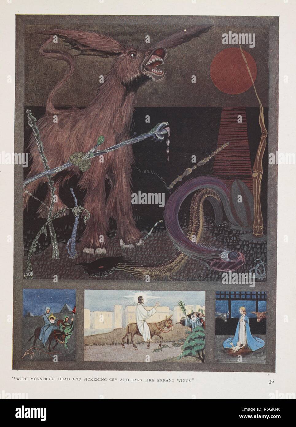 Mammal Like Reptile High Resolution Stock Photography And Images Alamy