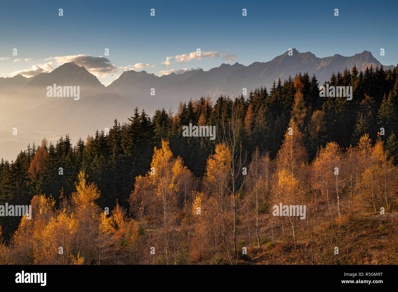 Autumnal mountain landscape with birches, larches and spruces, Karwendel mountains at the back, Pillberg, Pill, Tyrol, Austria Stock Photo