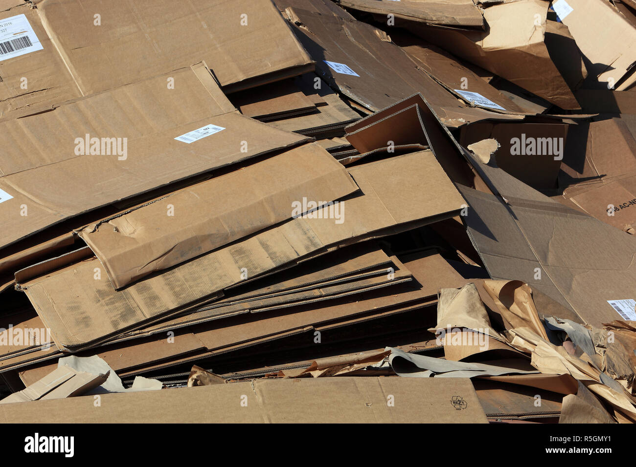 Old paper, cardboard boxes, on a pile for recycling in a recycling plant, Germany Stock Photo