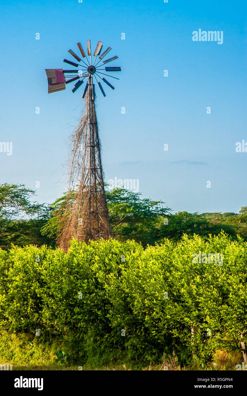 Old broken windmill at sunset under blue sky Stock Photo