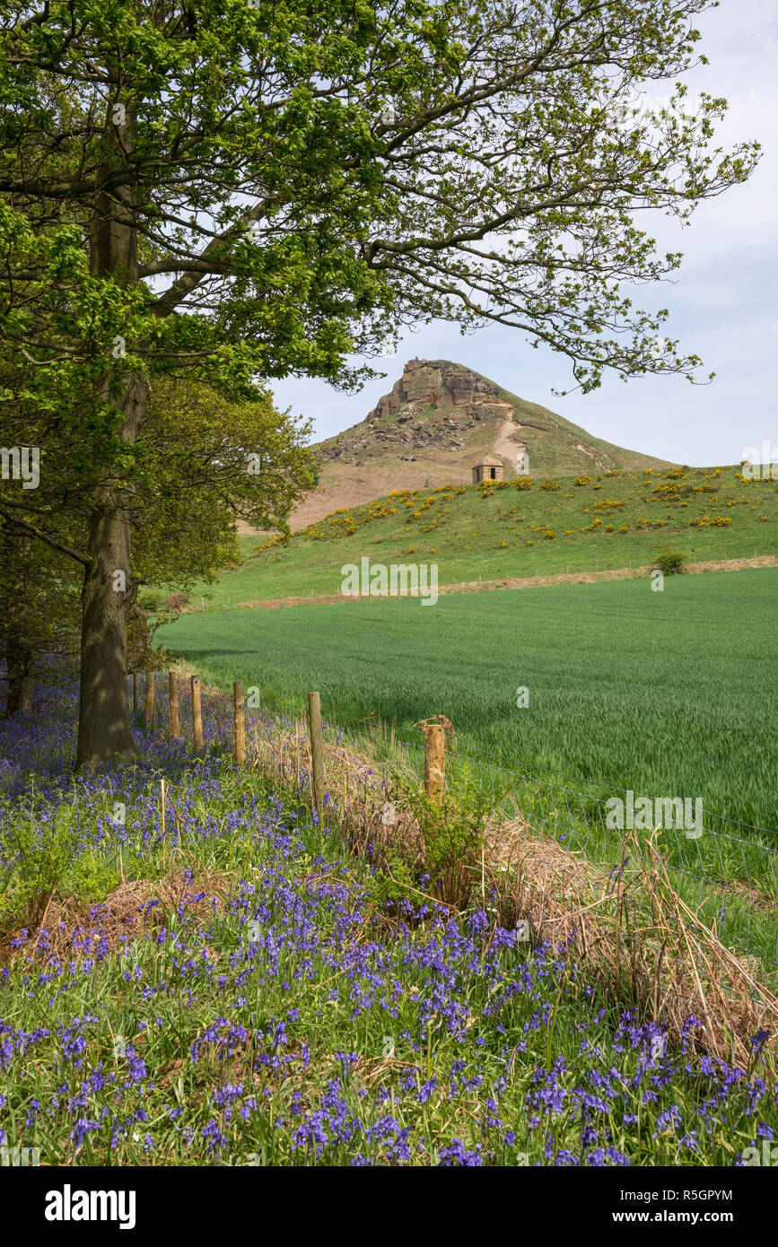 View of Roseberry Topping in the North York Moors national park, England. Stock Photo