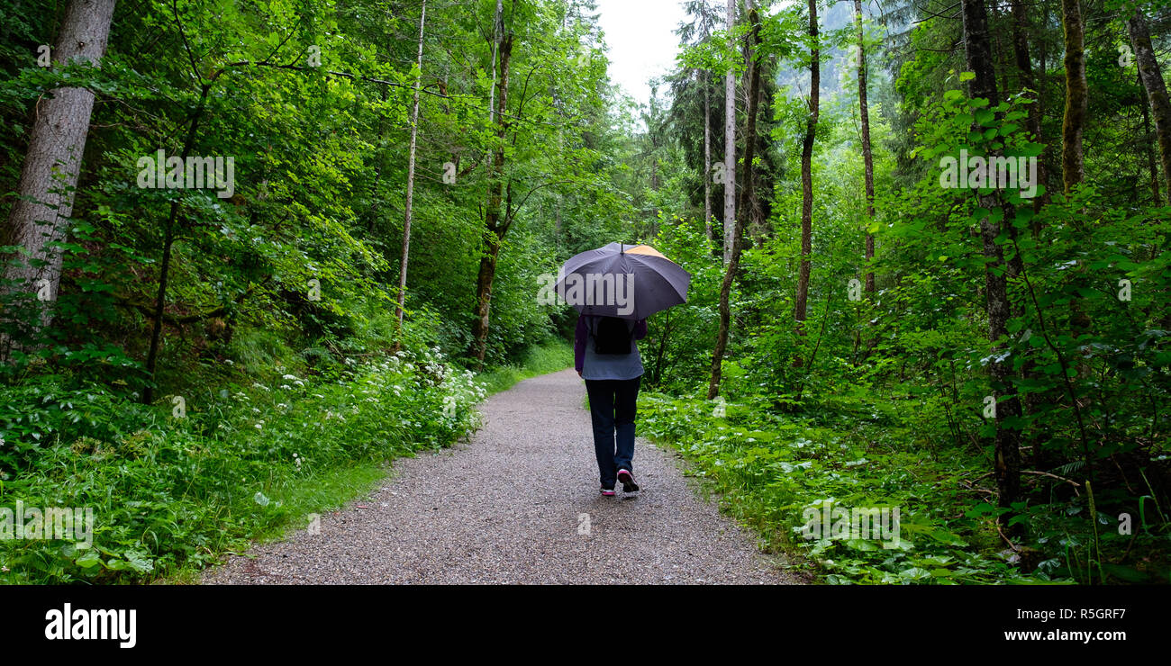 woman with umbrella in the rain on a hike in the woods Stock Photo - Alamy