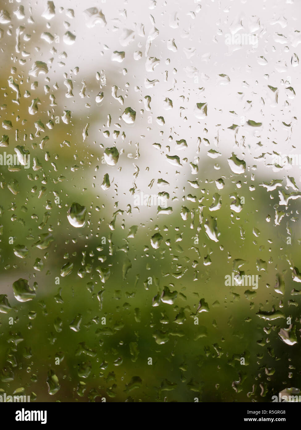 rain drops on glass door to garden Stock Photo - Alamy