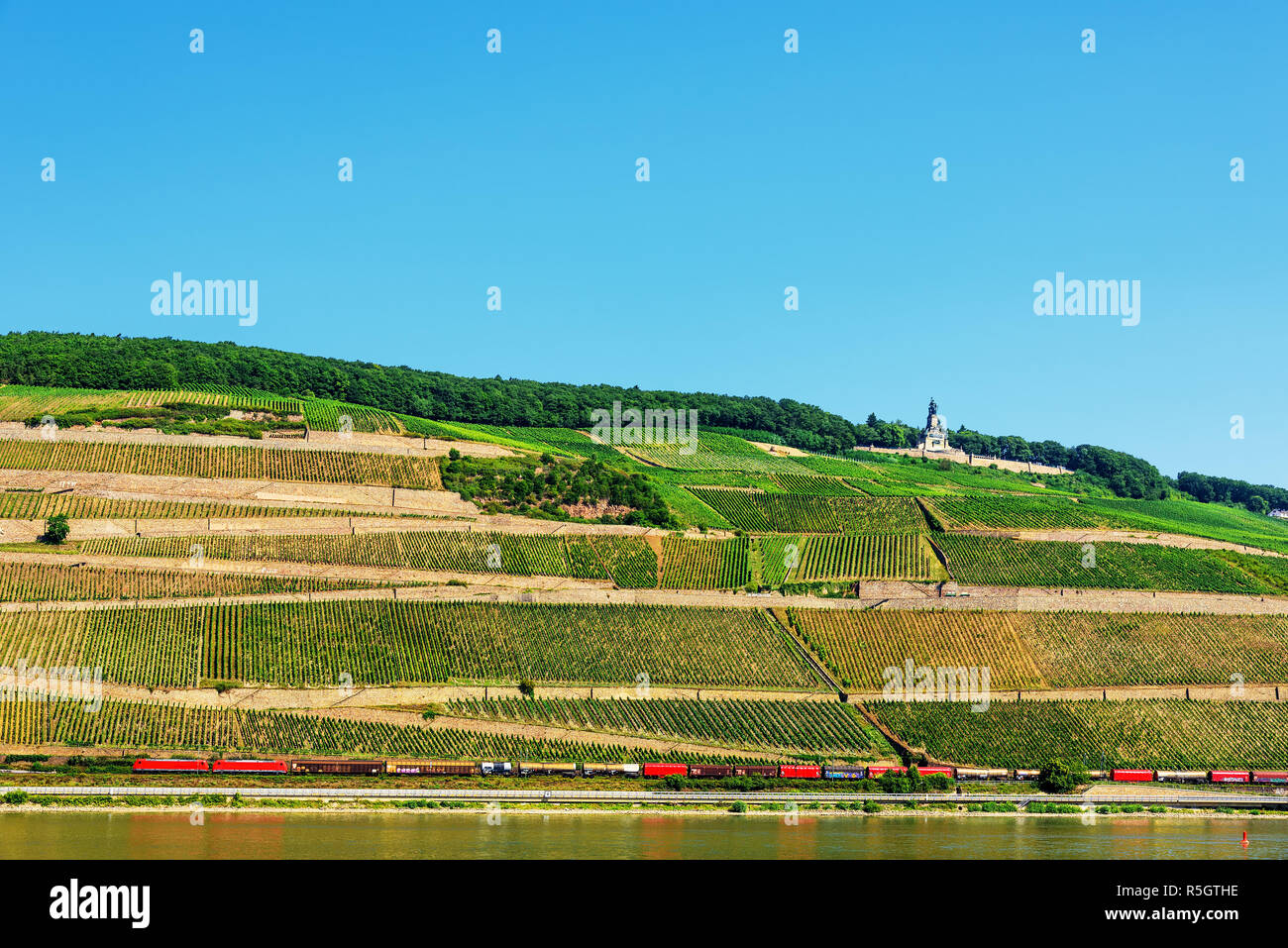 niederwald monument rüdesheimer berg wine plant Stock Photo