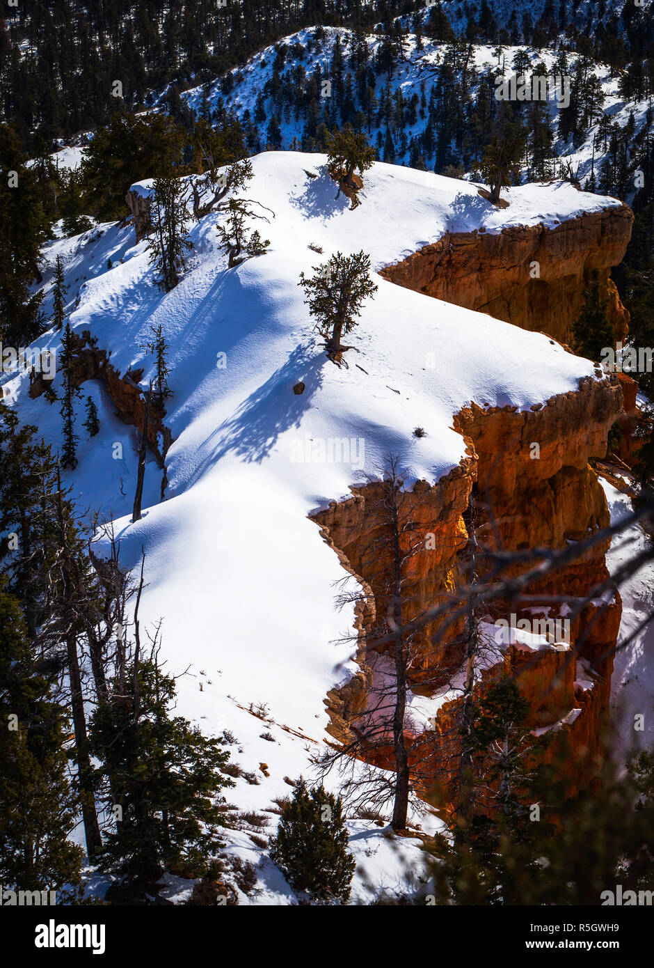 Curated visual reference: Fresh Look at Western Landscape Textured Canyon In Hi Res Stock Photography And