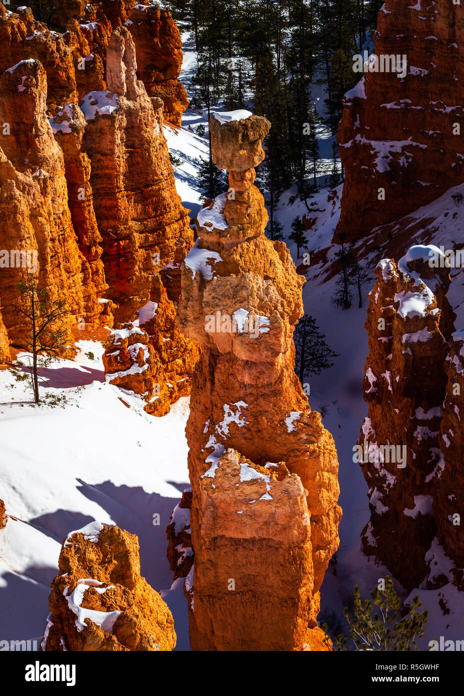Bryce Canyon in winter Stock Photo