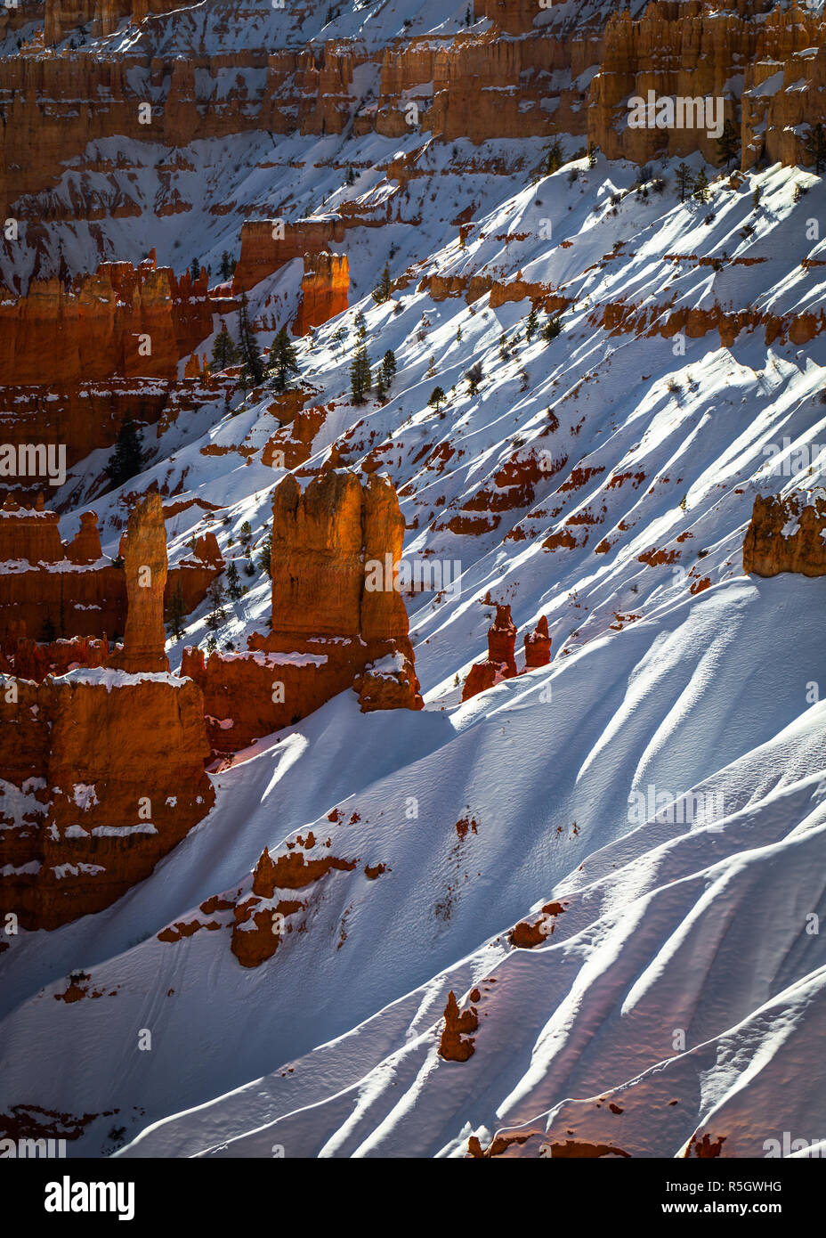 Bryce Canyon in winter Stock Photo