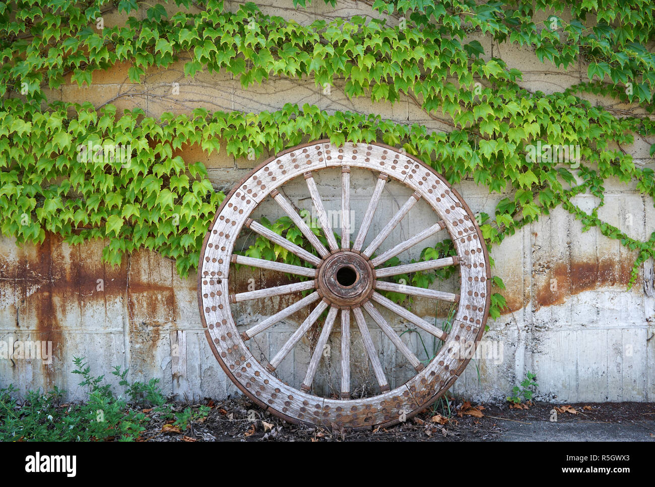 Antique wood cart wheel with green leaves Stock Photo Alamy