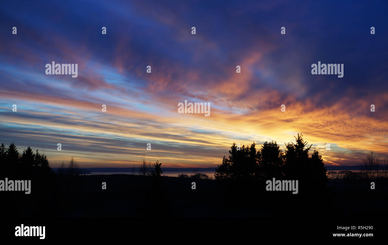 Horizontal silhouette of sunset forest landscape background Stock Photo ...