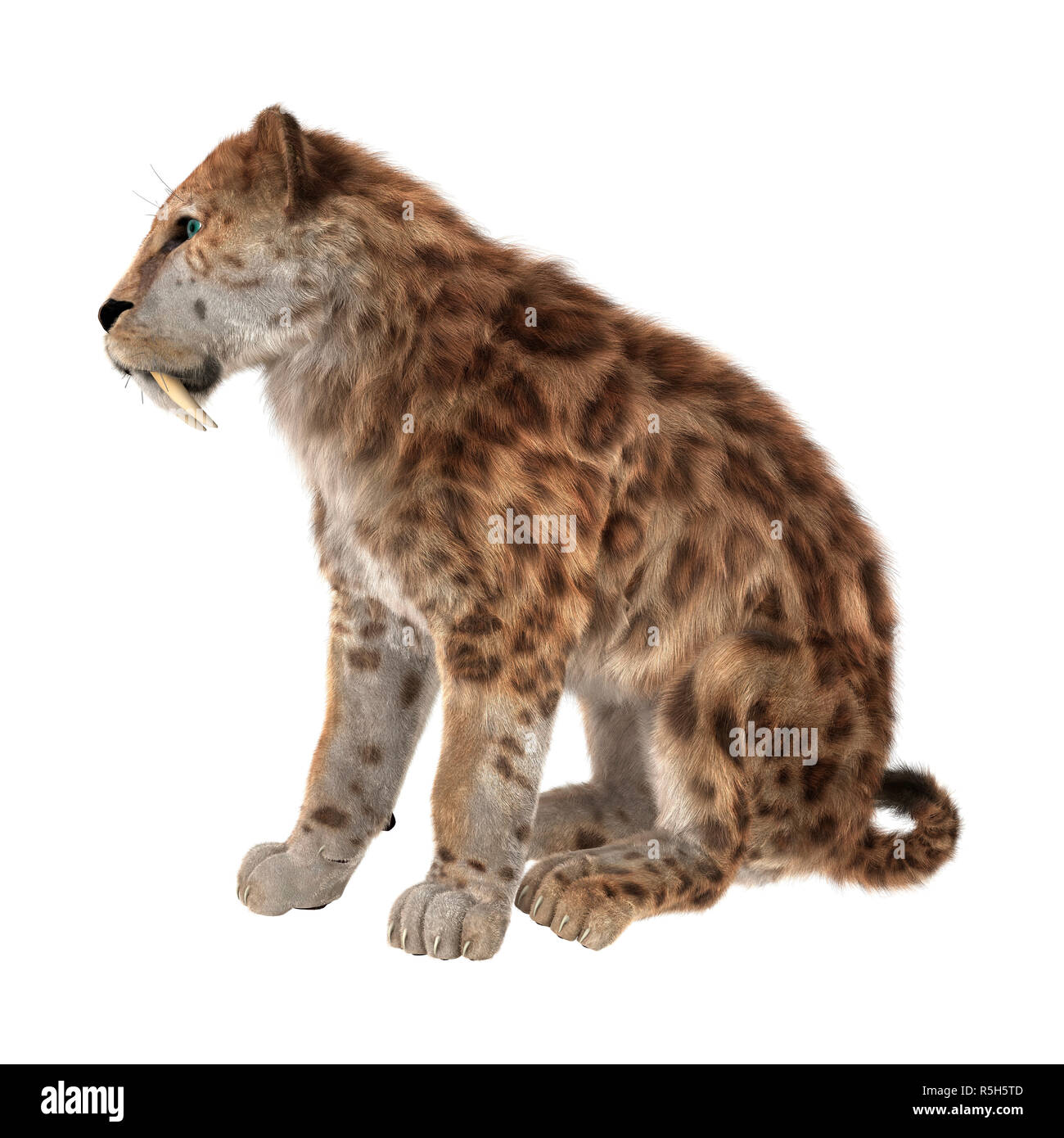 Saber tooth tiger hunting hi-res stock photography and images - Alamy
