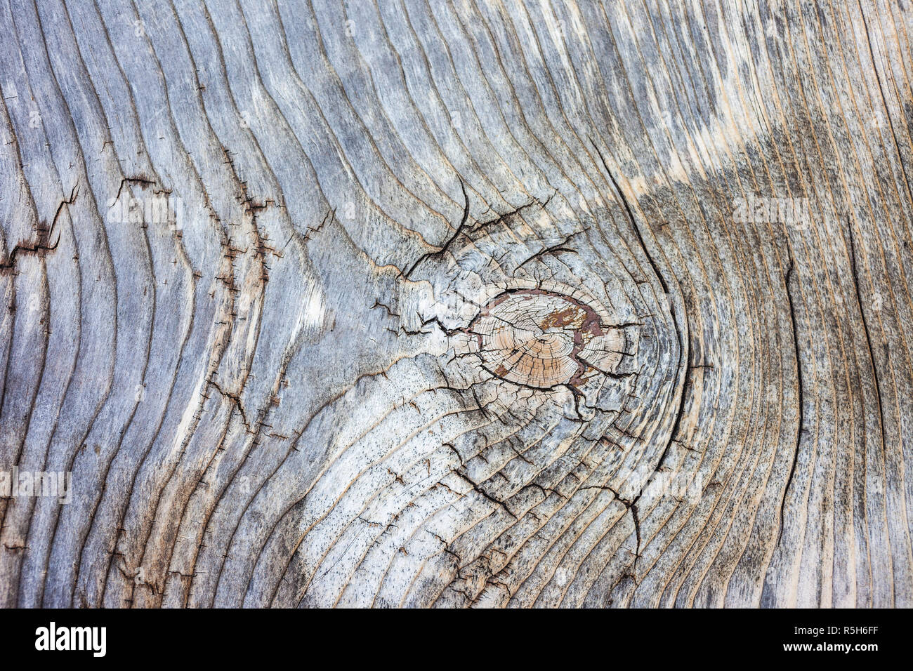 old,weathered wooden board Stock Photo