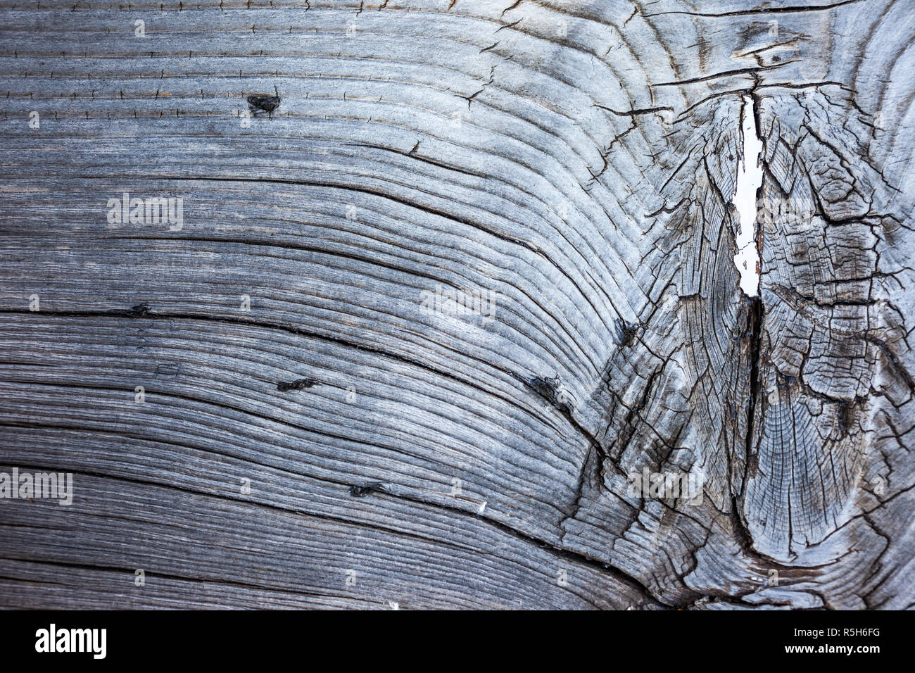 old,weathered wooden board Stock Photo